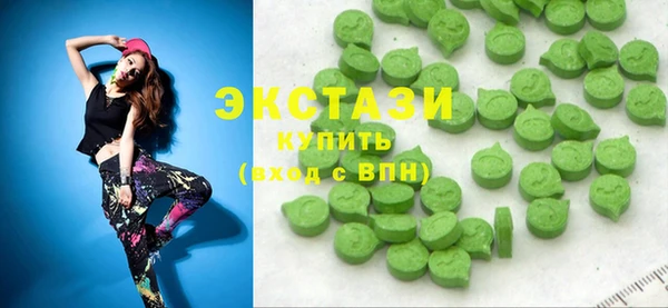 тгк Снежногорск
