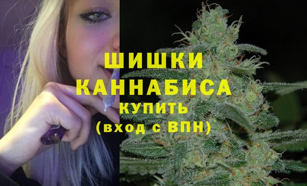 тгк Снежногорск