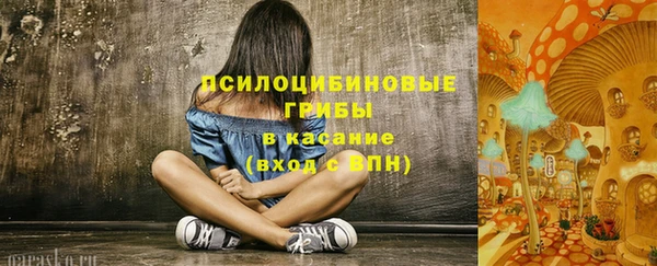 тгк Снежногорск