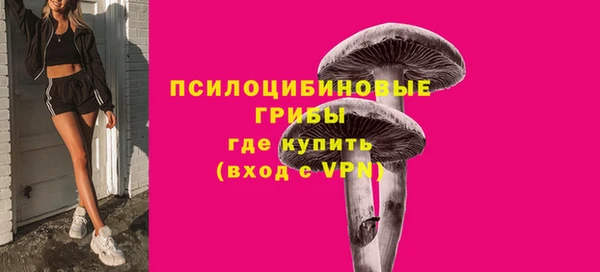 тгк Снежногорск