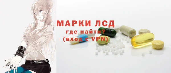 тгк Снежногорск