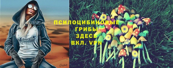 тгк Снежногорск