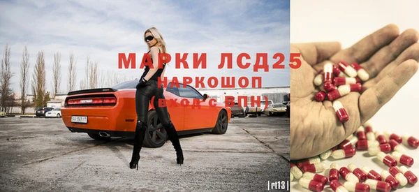тгк Снежногорск