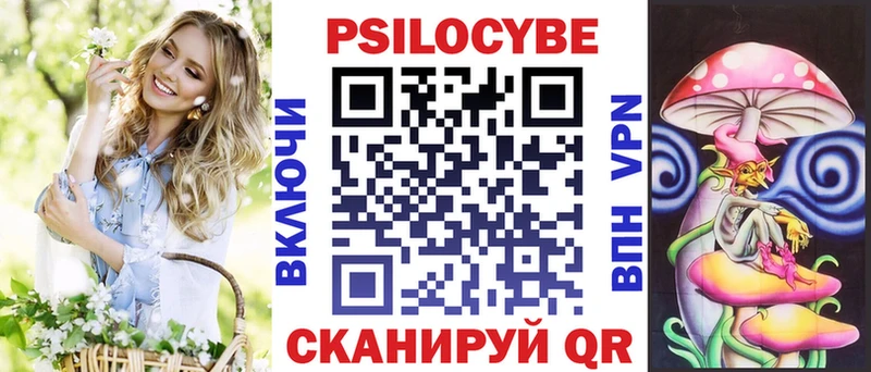 Купить закладки  Черногорск  Псилоцибиновые грибы MAGIC MUSHROOMS 